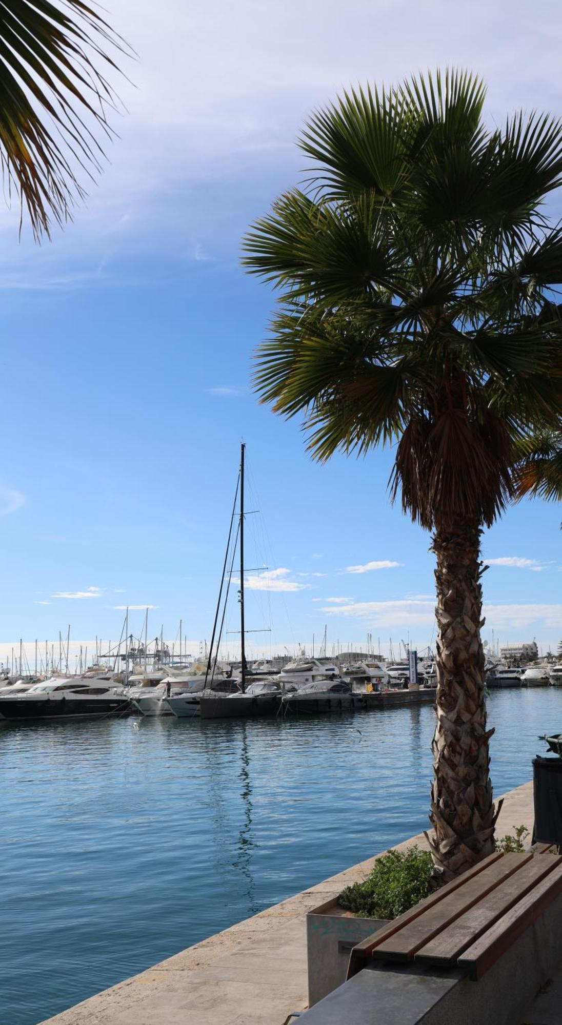 Alicantan Vital Experience Alicante Exterior foto