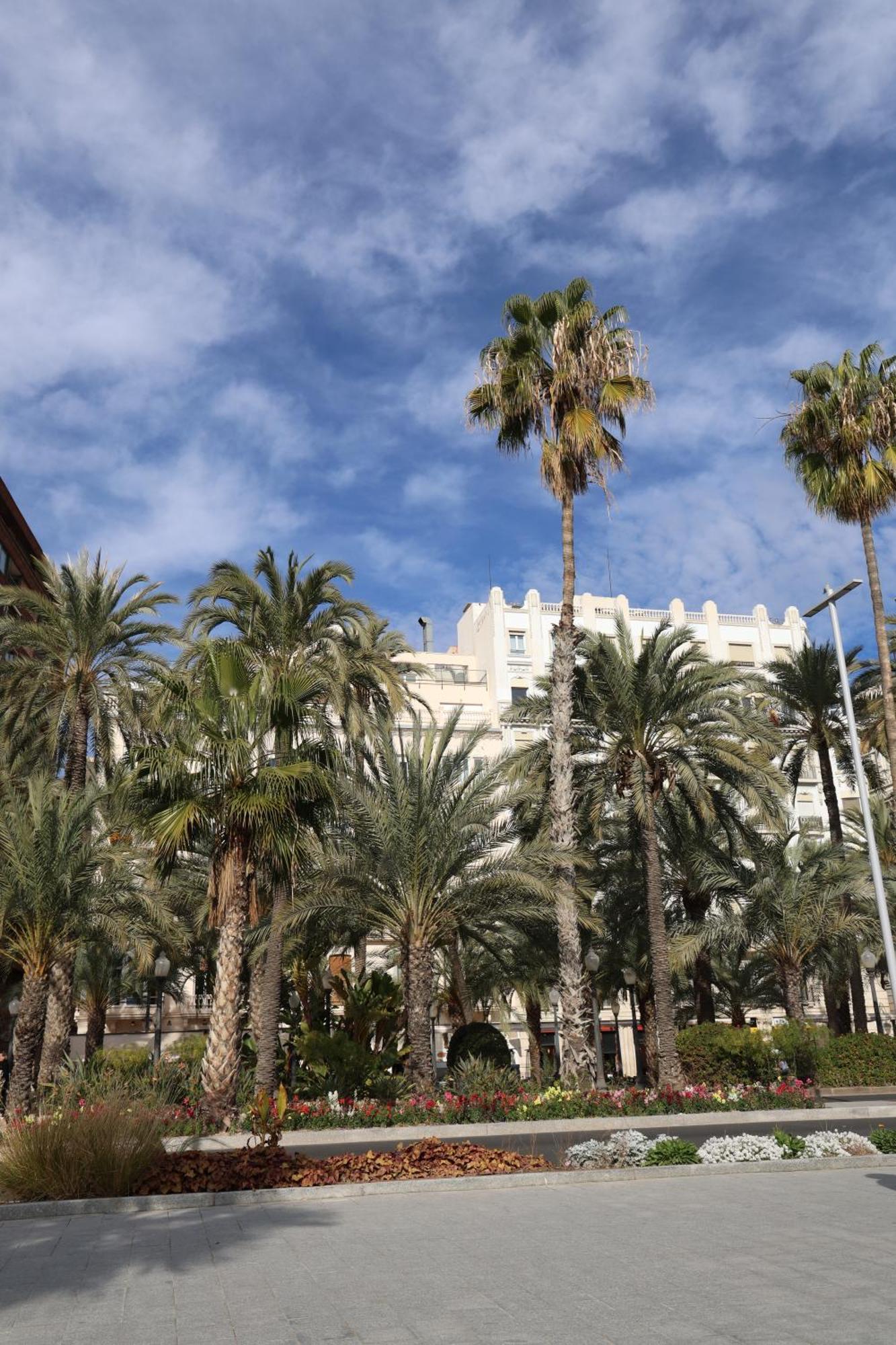 Alicantan Vital Experience Alicante Exterior foto