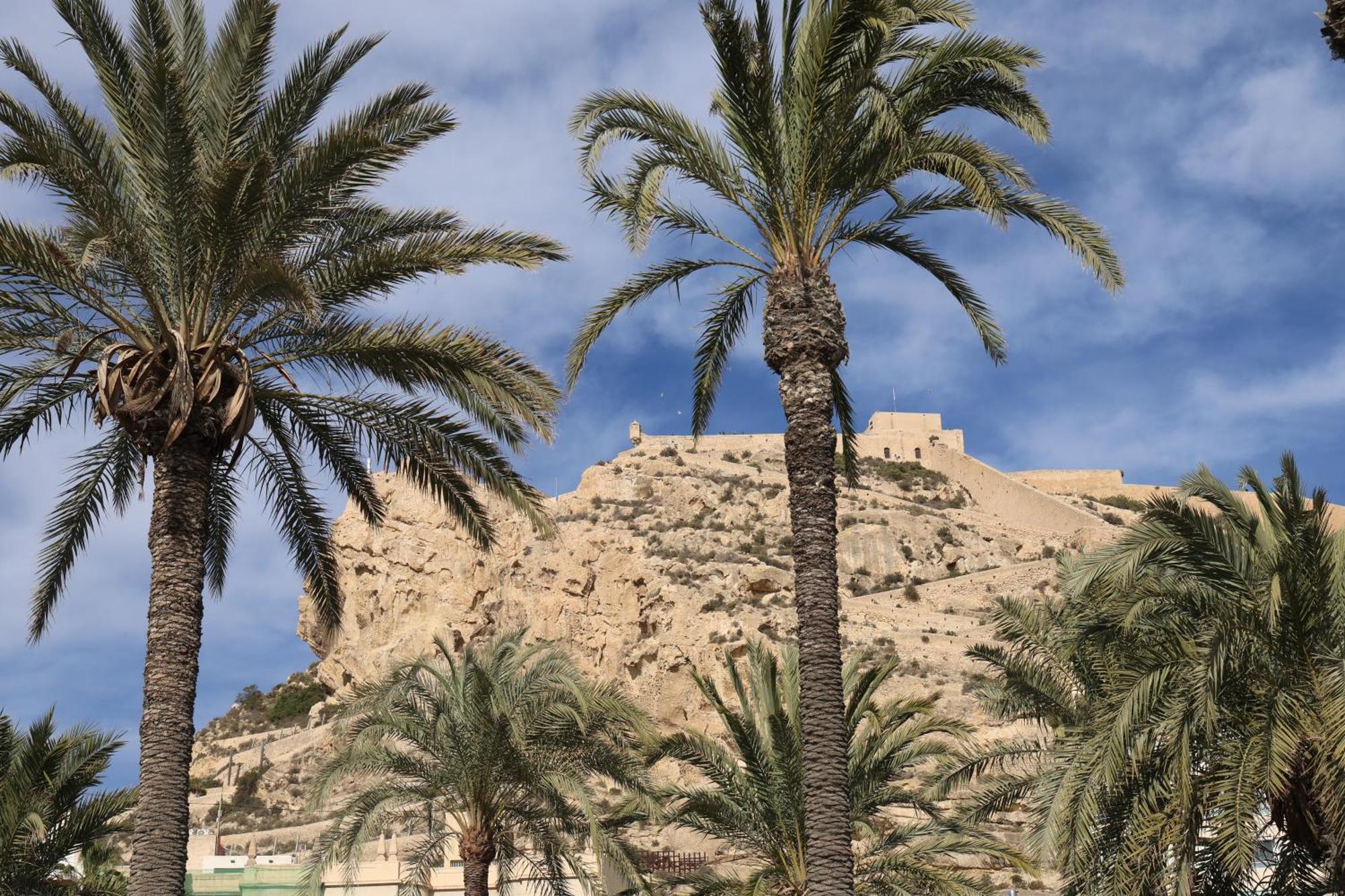 Alicantan Vital Experience Alicante Exterior foto